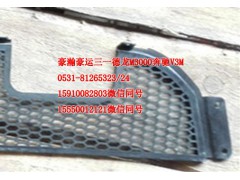 AZ9525930060,保險杠裝飾格柵,濟南隆旭汽車配件有限公司