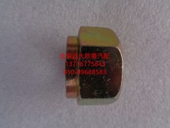 1124029500007,自鎖螺母(新?tīng)顟B(tài)）,北京遠(yuǎn)大歐曼汽車(chē)配件有限公司