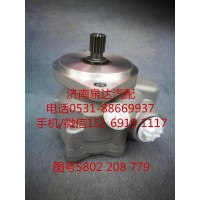 上汽紅巖液壓轉(zhuǎn)向油泵、助力泵5802208779